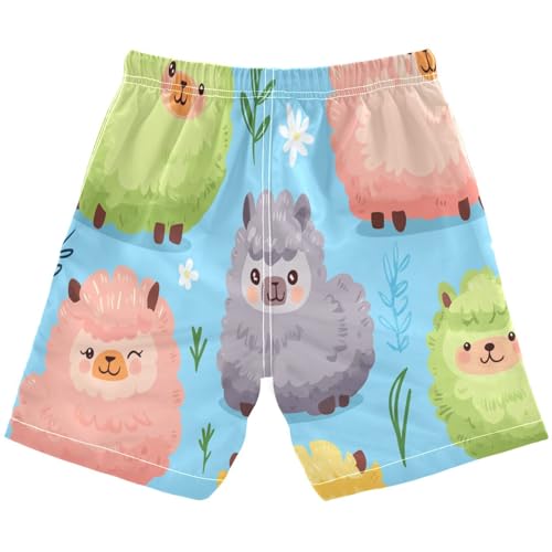 Boys Beach Board Shorts Sheep Cute Alpaca Cartoon Swim Trunk Teen Swimwear 8-16Y Multicolor2