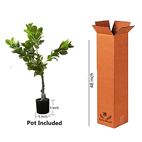 Image of Kayra Decor 3 Feet Rubber Ficus Plant - Artificial Tall Plants for Home Decor with Pot (Black)