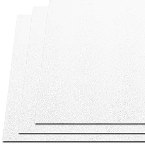 KYDEX Thermoform Sheet - (P1 Texture) - (.080 Thickness) - (12in x 12in Sheet) - (Blizzard White) - (3 Pack) - (for KYDEX Holster Making & Hobby) - (by HolsterSmith)