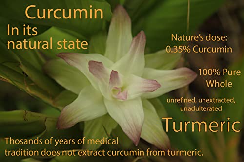 Turmeric Family Turmeric Tablets | Curcuma Longa | Farm Direct | Resealable Kraft Bag (Turmeric, 300 Tablets) #TOP6