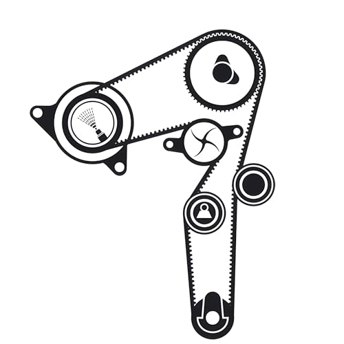 Skf Vkmc 02179 Kit Tendicinghia Con Pompa Acqua