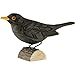 Produktbild WILDLIFEGARDEN Wildlife Garden WG411 DecoBird Amsel - Handgeschnitzter Dekorative Vogel aus Holz - Mittelgroße Europäische Vögel