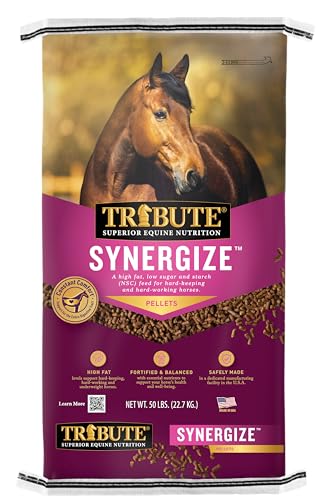 TRIBUTE Synergize, a low NSC, high fat pelleted horse feed for hard-keeping and hard-working horses