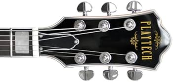 Amazon | PLAYTECH (プレイテック) セミアコースティックギター