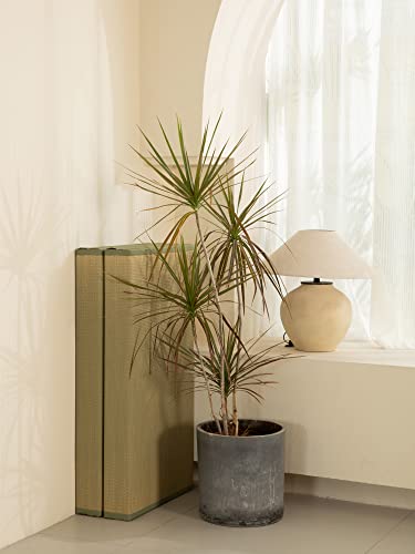 Mustmat Thick Tatami Mat Twin Xl Floor Mattress Japanese Tatami Bed With Storage Bag 39 X 80 X 2 In (Green) #TOP6