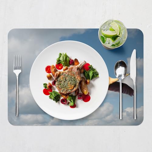 Sets de table anti-rayures dessous liège napperons souples lavables - 7
