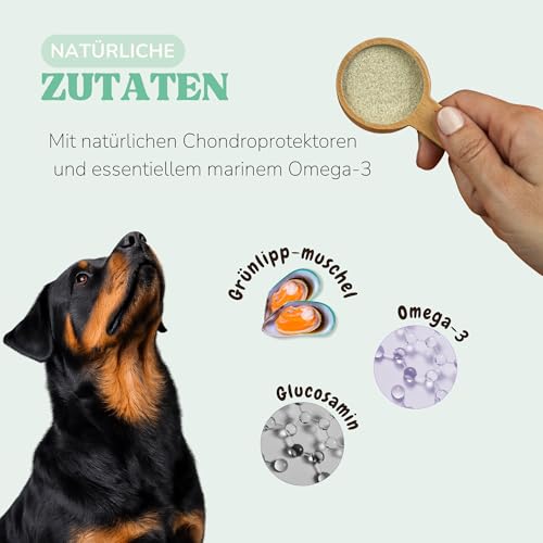 Lamina Care Grünlippmuschel Pulver für Hunde und Katzen 150 g - Bei Arthrose, für Gelenke, Knorpel und Beweglichkeit - Perna Canaliculus, ins Futter mischbar