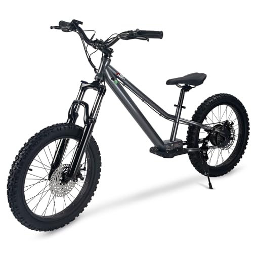 RIOUIO Electric Bike, 350W Motor, 18.6 MPH, 15.5 Miles, 20"