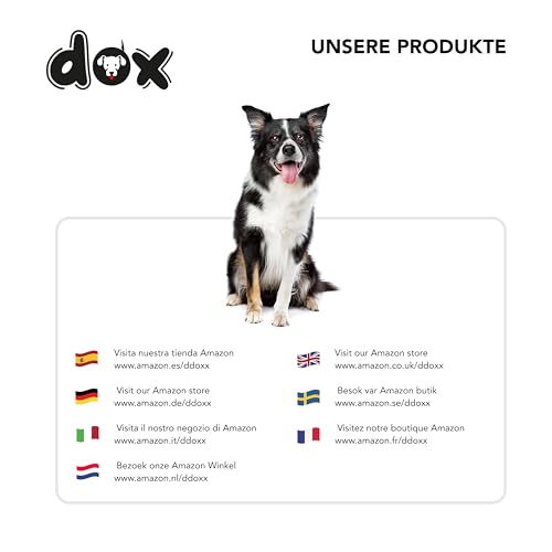 DDOXX Nylon Hundeleine - 2m, 3fach verstellbare Hundeleine für alle Hundegrößen - XS (Schwarz)