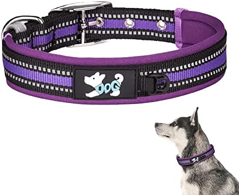 TDTOK Reflective Dog Collar for Large Medium Small Dogs with Breathable Soft Neoprene Padded, Adjustable Heavy Duty Durable Nylon Dog Collar with Metal Buck, Fit Necks: 11’’-27’’ (M, Purple)