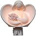 Appletree Design Angels with Flowers Plug In Night Light, 5-3/4-Inch Tall