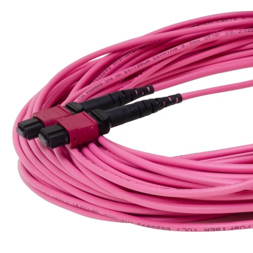 TRUE CABLE MTP/MPO OM4 MM 12-Fiber Patch Cable Type B, OFNP, 2m (6.56ft)