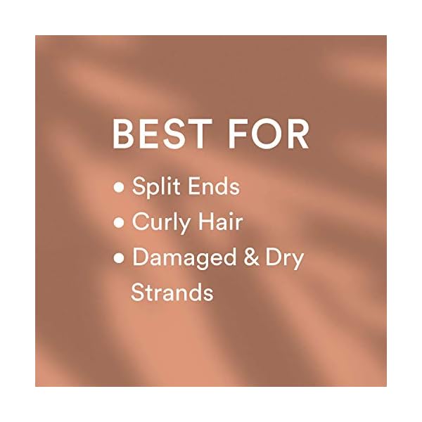 WOW-Apple-Cider-Vinegar-Shampoo-Reduce-Dandruff-Frizz-Split-Ends-For-Hair-Loss-Clean-Scalp-Boost-Gloss-Shine-Paraben-Sulfate-Free-All-Hair-Types-Adults-Children-500-mL WOW Skin Science Apple Cider Vinegar Shampoo - Hair Growth Shampoo For Thinning Hair, Hair Loss & Dandruff Shampoo - Parabens & Sulfate Free Shampoo (Brown, 16.9 Fl Oz (Pack Of 1))