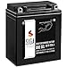 Produktbild SIGA GEL Motorradbatterie 12V 12Ah 230A/EN GEL Batterie YB12AL-A2 GEL12-12AL-A YB12AL-A für XV 535 und F 650