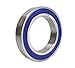 S61900 2RS / SS6900 2RS Edelstahl Dünnringlager Kugellager 10x22x6 mm Industriequalität 61900 6900 19 x günstig Kaufen-S61900 2RS / SS6900 2RS Edelstahl Dünnringlager Kugellager 10x22x6 mm Industriequalität 61900 6900