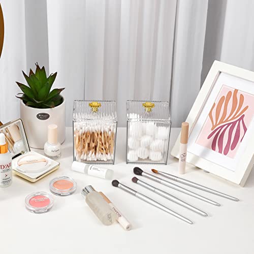 Rejomiik Plastic Qtip Holder Bathroom Jar With Lid Dispenser Vanity Organizers And Makeup Storage Canister Box For Cotton Ball, Swabs, Floss, Makeup Sponges, Jewelry, Rectangle Clear 2 Pack #TOP4