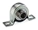 Dayton 2X405 Mounted Bearing Unit - 2X405