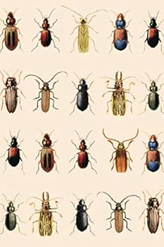 Paperback My Vintage Bug Notebook: Cool Beetle Insect Journal Notebook to write in 6x9" 150 lined pages Book