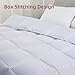 L LOVSOUL Down Alternative Queen Comforter Duvet Insert,All Season Duvet Insert with Corner Tabs,White Comforter Queen Size 90x90Inches