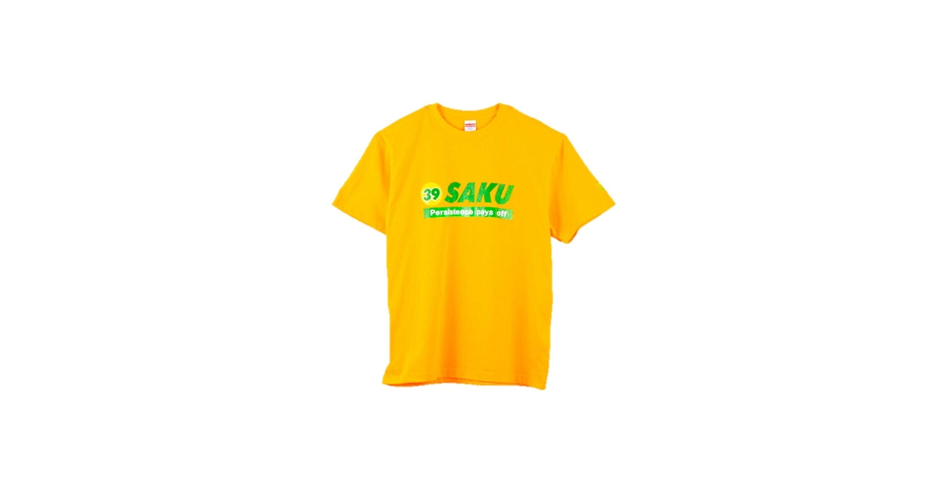 桜庭和志フィギア(水色TシャツVer) bb09f1620ce79e123fda309d4680b4