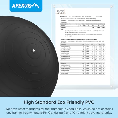 Thumbnail image for APEXUP Yoga Ball Exercise Ball