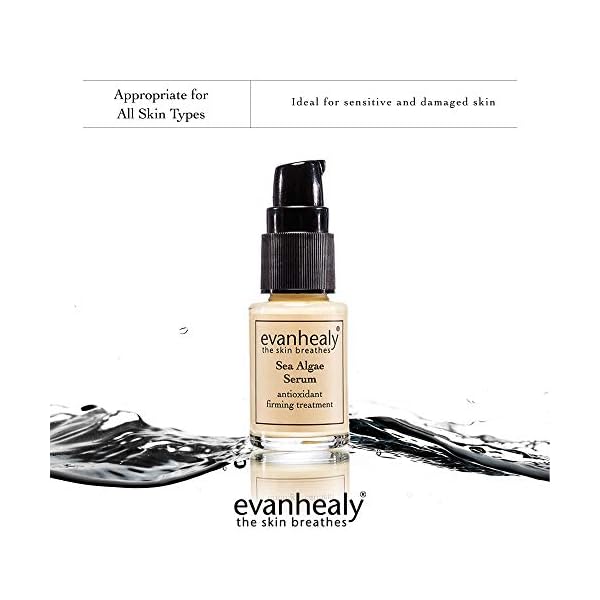 evanhealy Sea Algae Anti Wrinkle Serum for Sensitive Skin | Lightweight Firming Face Serum Anti Aging | Facial Serum with Hyaluronic Acid & Botanical Extracts