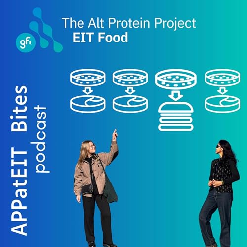 Episode 16 - Snow in Europe