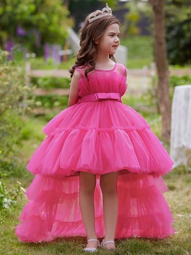 Crewneck Tiered Flower Girl Dress for Wedding Puffy Tulle A Line Formal Pageant Ball Gown3