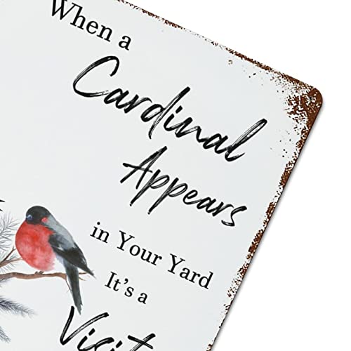 When A Red Bird Appears In Your Yard,It Is A Visitor From Heaven Metal Sign Bereavement Sympathy Metal Plate Sign Metal Signs For Outside Home Decor Home Store Man Cave Decor Gift Ideas 12X16 In #TOP5