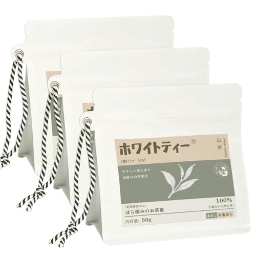 zCgeB[ij eB[obO 2025NtE |j ̔ 3ܓ 100gb͂ȍR_LxɊܗL