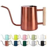 Watering Can Indoor Plants, 35oz Small Stainless Steel Metal Watering Can Modern Decorative Watering Pot with Long Spout for Indoor House Plant Bonsai Garden Flowers (Copper)