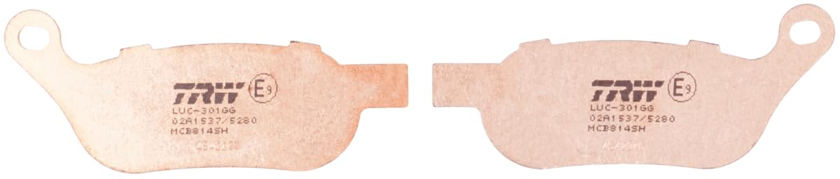 TRW MCB814SH Sinter Street Kit de Plaquettes de Frein pour Harley-Davidson FLSS 2016-2017 Essieu Arrièreet Autres Motos