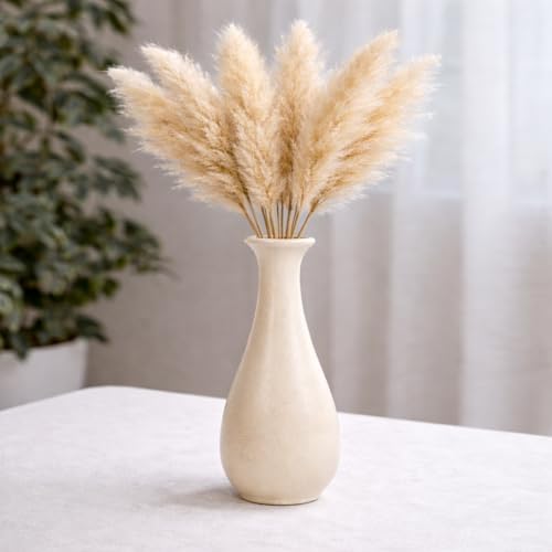Image of Ceramic Flower Vase, Off White, Surahi Shape Design, Matte Finish, Decorative Vase for Pampas Grass, Artificial Flowers & Home Decor (Only Vase) (Surahi Shape)
