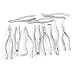 PRECISE CANADA: New German Grade Stainless 10 Each EXTRACTING Forceps Extraction Dental Instruments New