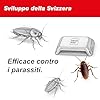 SWISSINNO Trappola per Insetti Striscianti con Esca Alimentare – 2 Trappole Adesive per Scarafaggi Pesciolini d’Argento Coleotteri Porcellini di Terra Ragni – Per Interni Monitoraggio Infestazioni