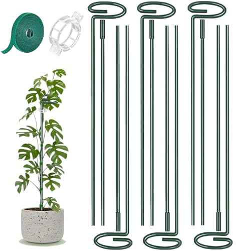 6 Pack 24 Inch Plant Support Stakes Extendable Plant Stakes Orchid Sticks with Clips for Indoor Outdoor Garden Stakes for Plant Tomato Vegetables Monstera.Plant Support Stakes for Two Sizes12 or 24 In