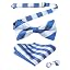 F3-white Blue Plaid