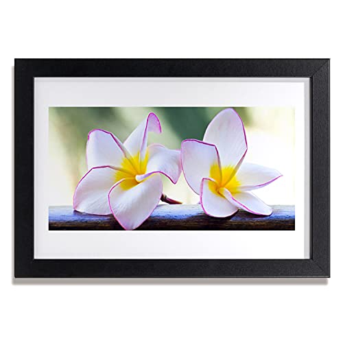 Affiche encadrée Plumeria 30x20 cm avec cadre en MDF Tulup pour décoration murale de salon
