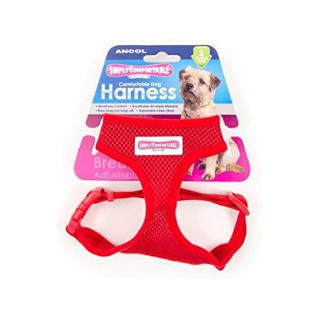 buy thundershirt
