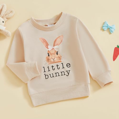Toddler Baby Girl Boy Easter Outfits Bunny Embroidery Round Neck Long Sleeve Sweatshirt Pullover Top Fall Clothes2