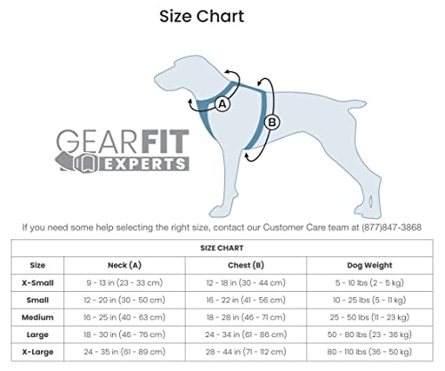 Kurgo TRU-Fit Smart Dog Walking Harness – Bequeme Passform – verstellbares Geschirr – reflektierende Haustierkleidung – Schnellverschluss – Zubehör für den täglichen Spaziergang – inklusive