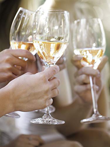 1112 Blanc de Noirs Trocken – Weißwein der Marke Elfhundertzwölf aus Baden (6 x 0,75 l)