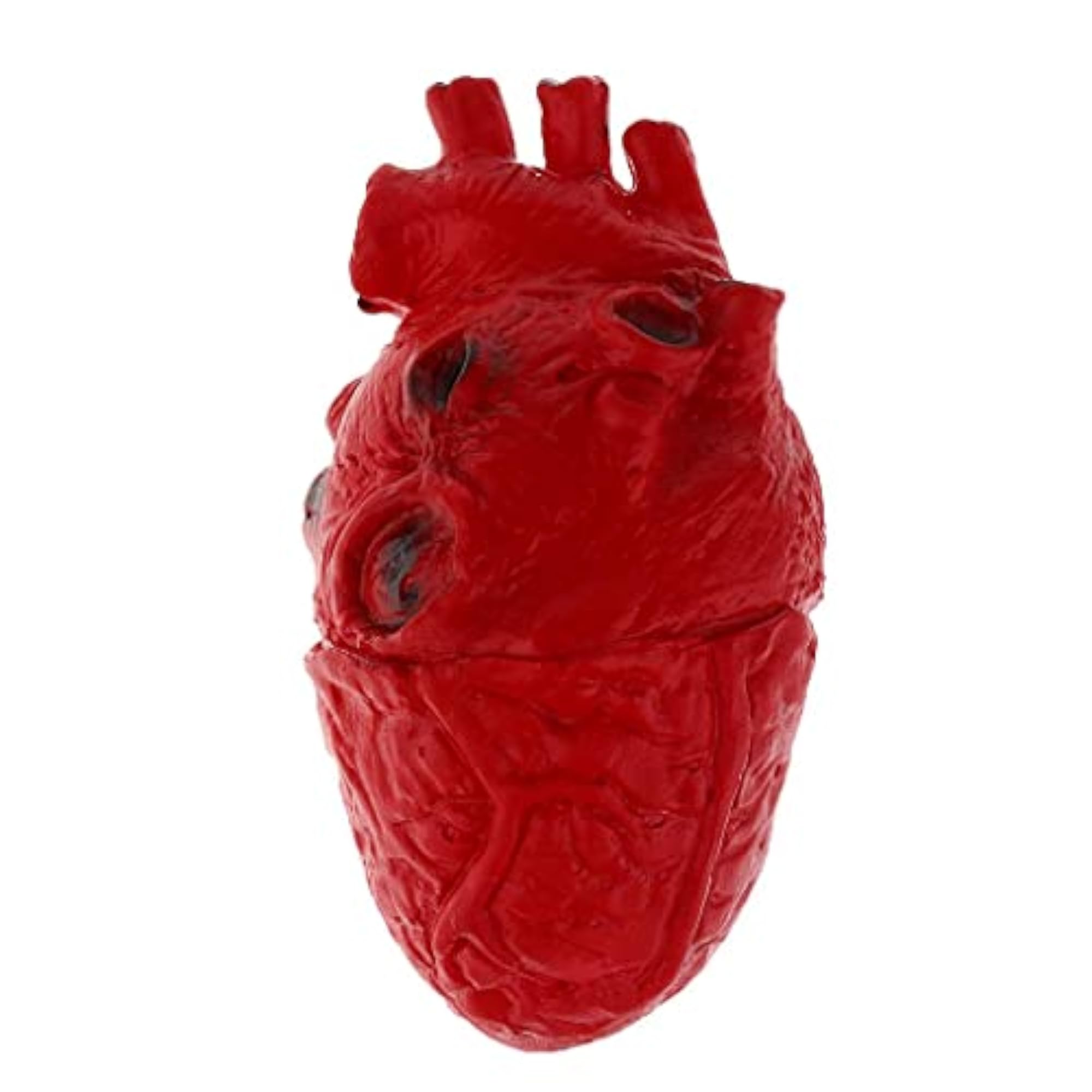 Fake Human Heart Horror Prop Decoration for Events