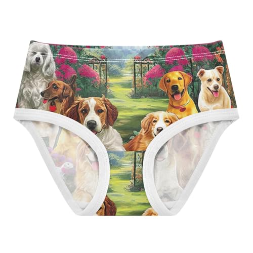 Countryside Manor Dogs Toddler Girl Undies, Kids Underwear, 2T–8 Years