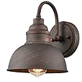 DIRYZON EUL Rustic Gooseneck Wall Sconce Outdoor/Indoor Farmhouse Porch Light 1-Light Barn Bedside Wall Light in Antique Copper Finish for Patio Front Door