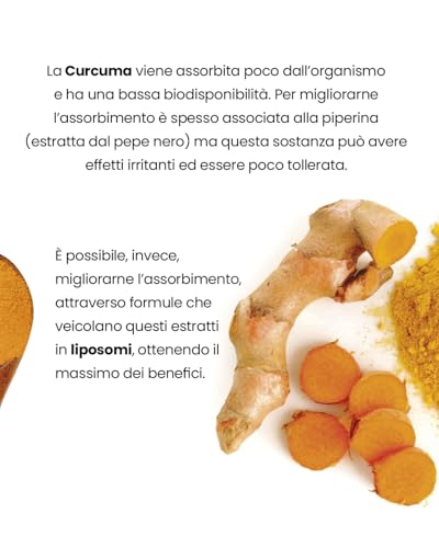 ELEVE NIKI CurcuminaLip30Stick - 6