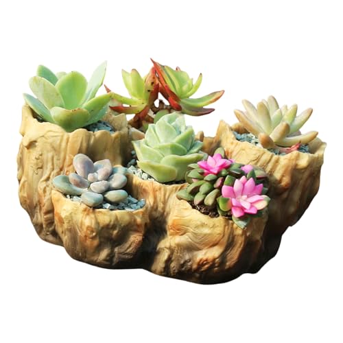 Rdxanc Macetas de imitación para jardín, aspecto de madera, para plantas suculentas, mejora la estética natural