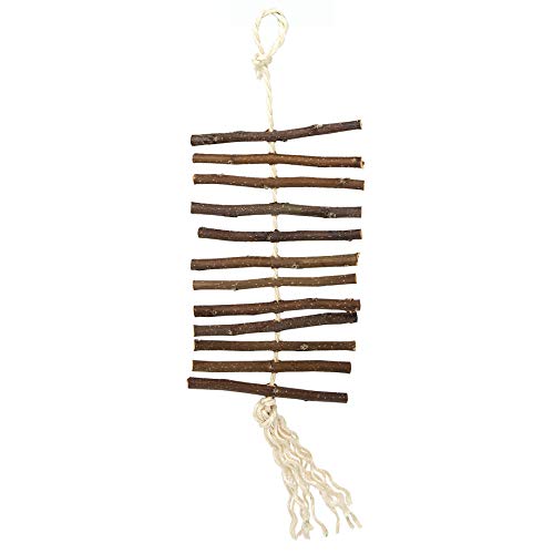 Oxbow Enriched Life Apple Stick Dangly, Rabbit Toys, Guinea Pig Toys, Enrichment for Bunny, Guinea Pig, Hamster, Rabbit, Chinchilla, Rat, Chinchilla Cage Accessories, Small Pet Accessories for Cage
