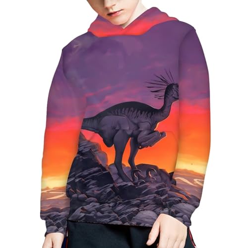 Hoodies for Boys Girls 3d Printed Dinosaur Hooded Sweatshirts Long Sleeve Pullover Hoody with Pocket 6-16Y