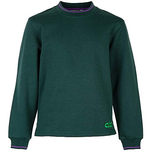 NEW LOGO Cubs Tipped Sweatshirt 2015 - Official Uniform (28)